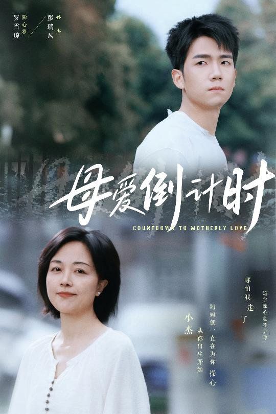 《母爱倒计时》海报