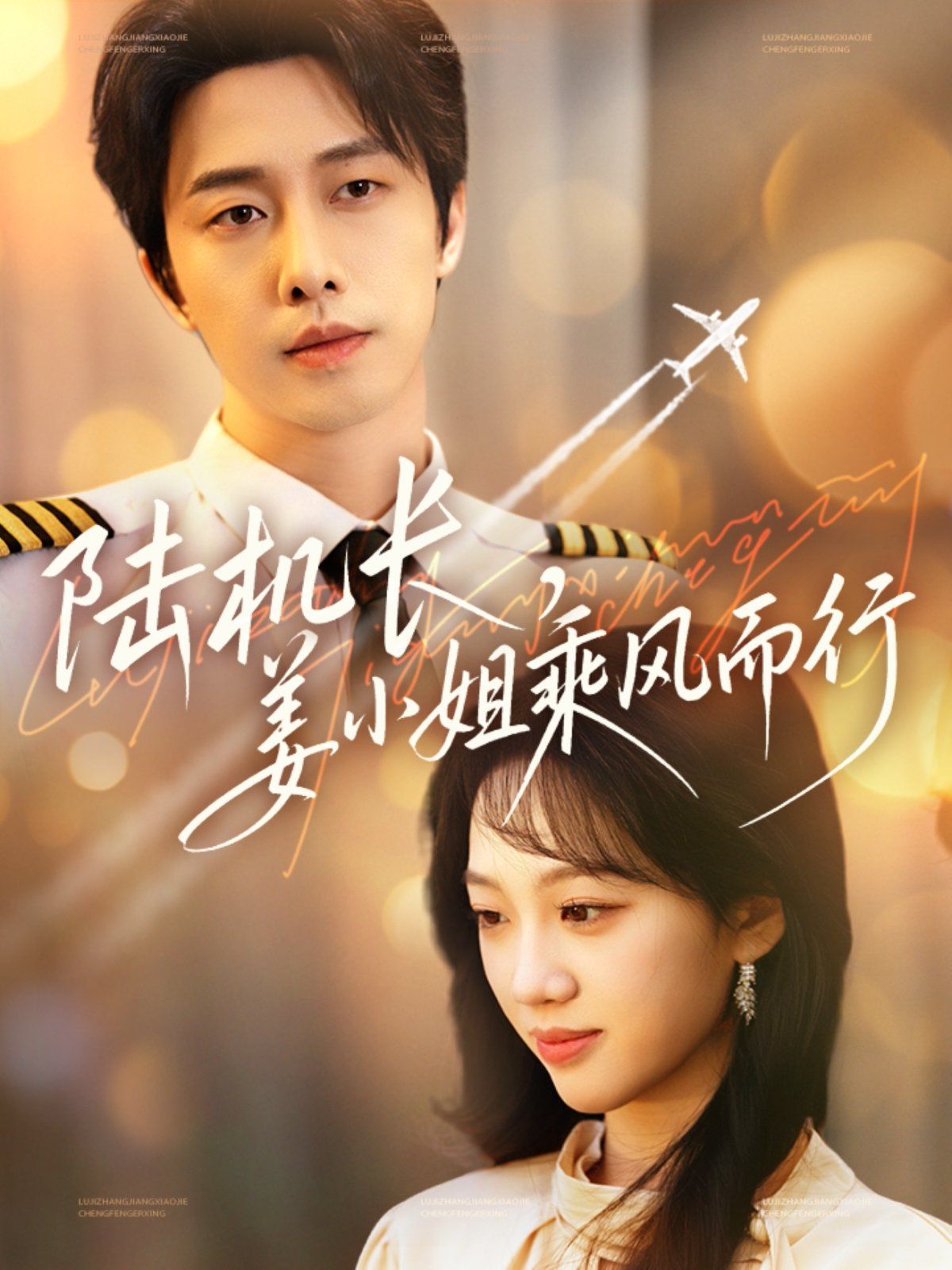 《陆机长姜小姐乘风而行》海报