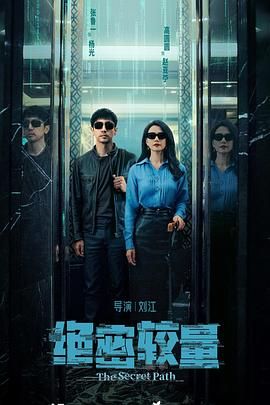 《绝密较量》海报