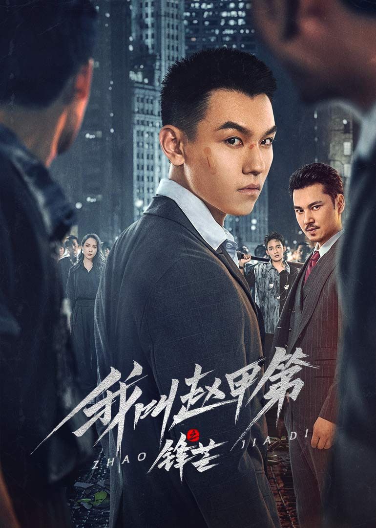 《我叫赵甲第之锋芒》海报