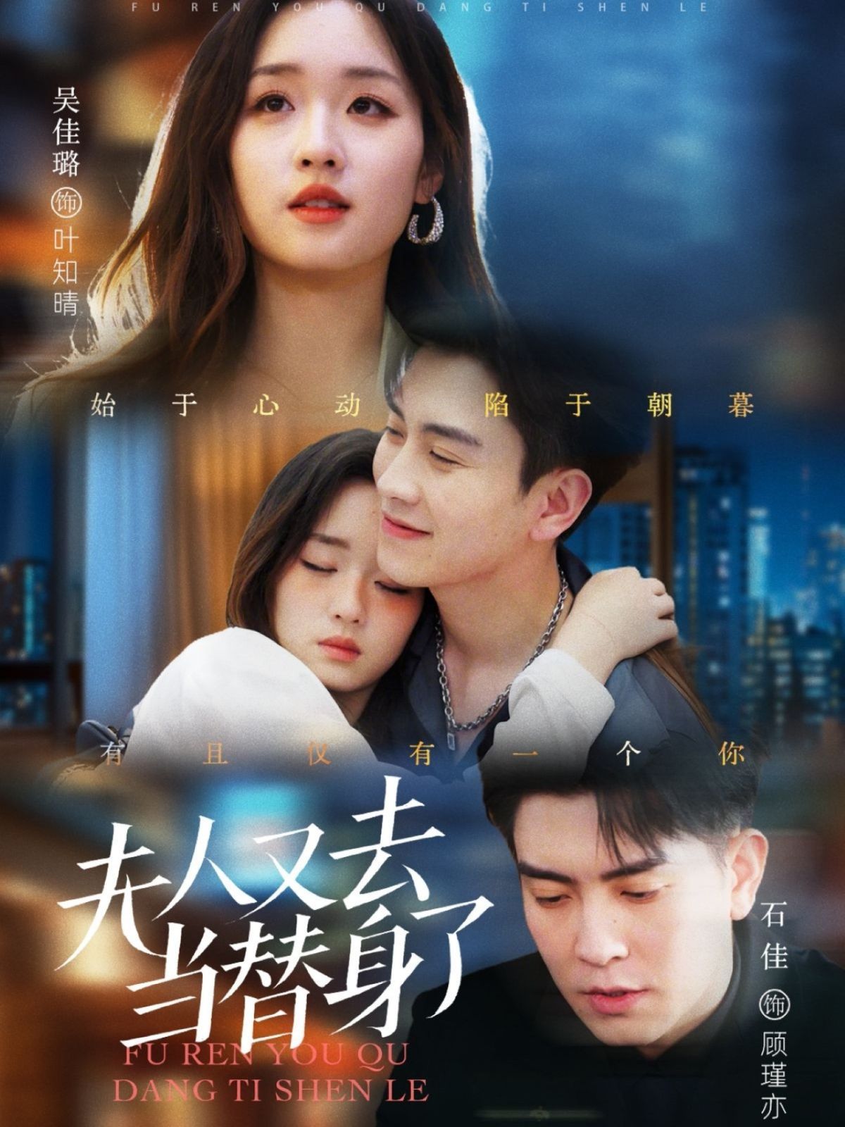 《夫人又去当替身了》海报