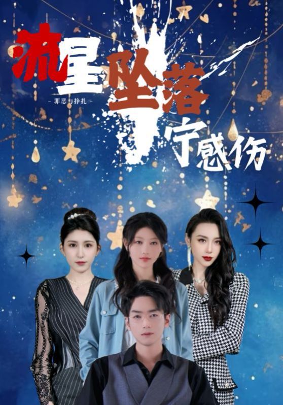 《流星坠落宁感伤》海报