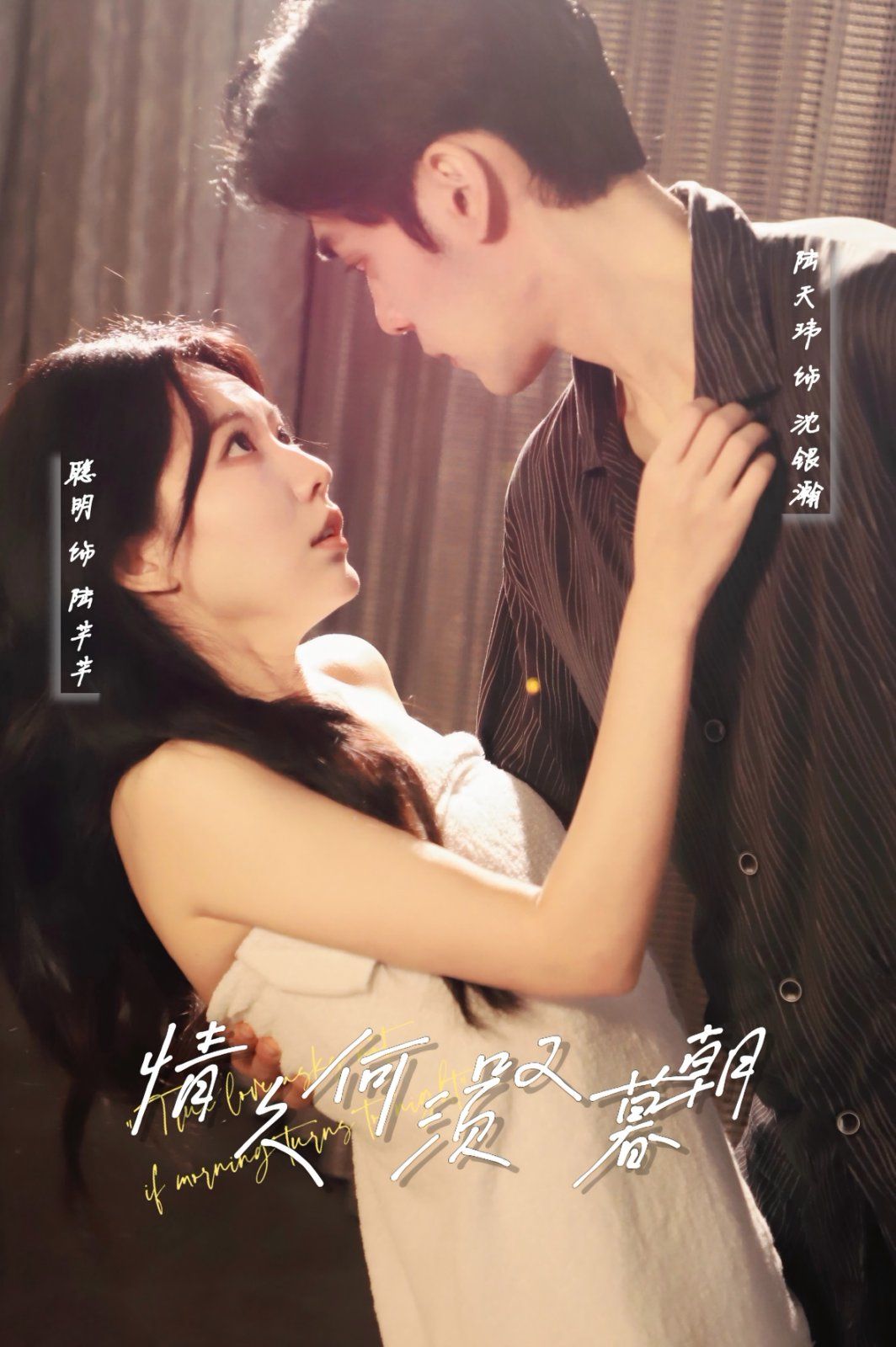 《情久何须叹暮朝》海报