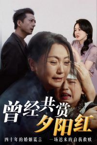 《曾经共赏夕阳红》海报