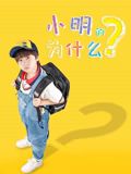 《小明的为什么》海报