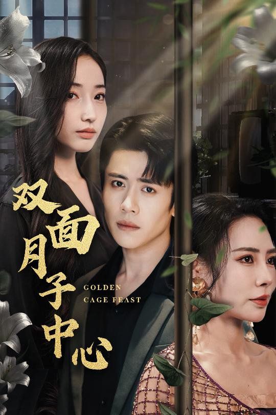 《双面月子中心》海报
