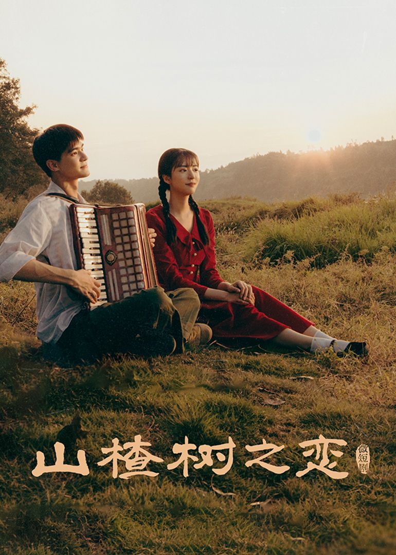 《山楂树之恋》海报