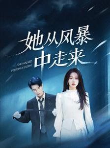 《她从风暴中走来》海报