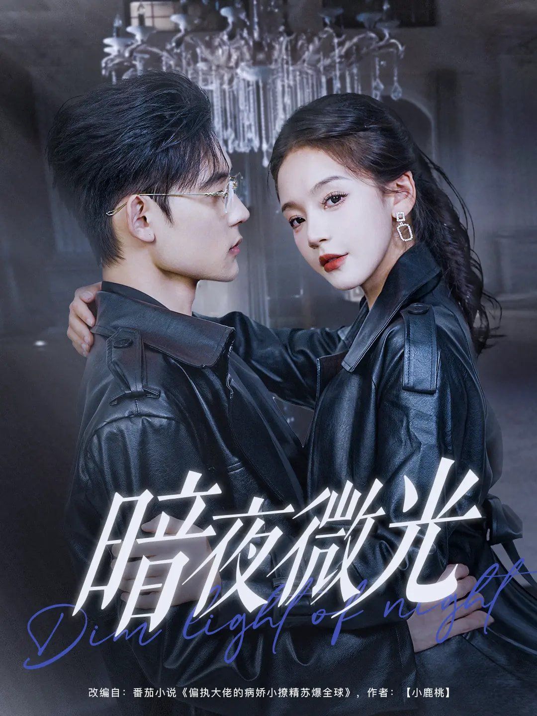 《暗夜微光》海报