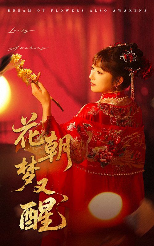 《花朝梦又醒》海报