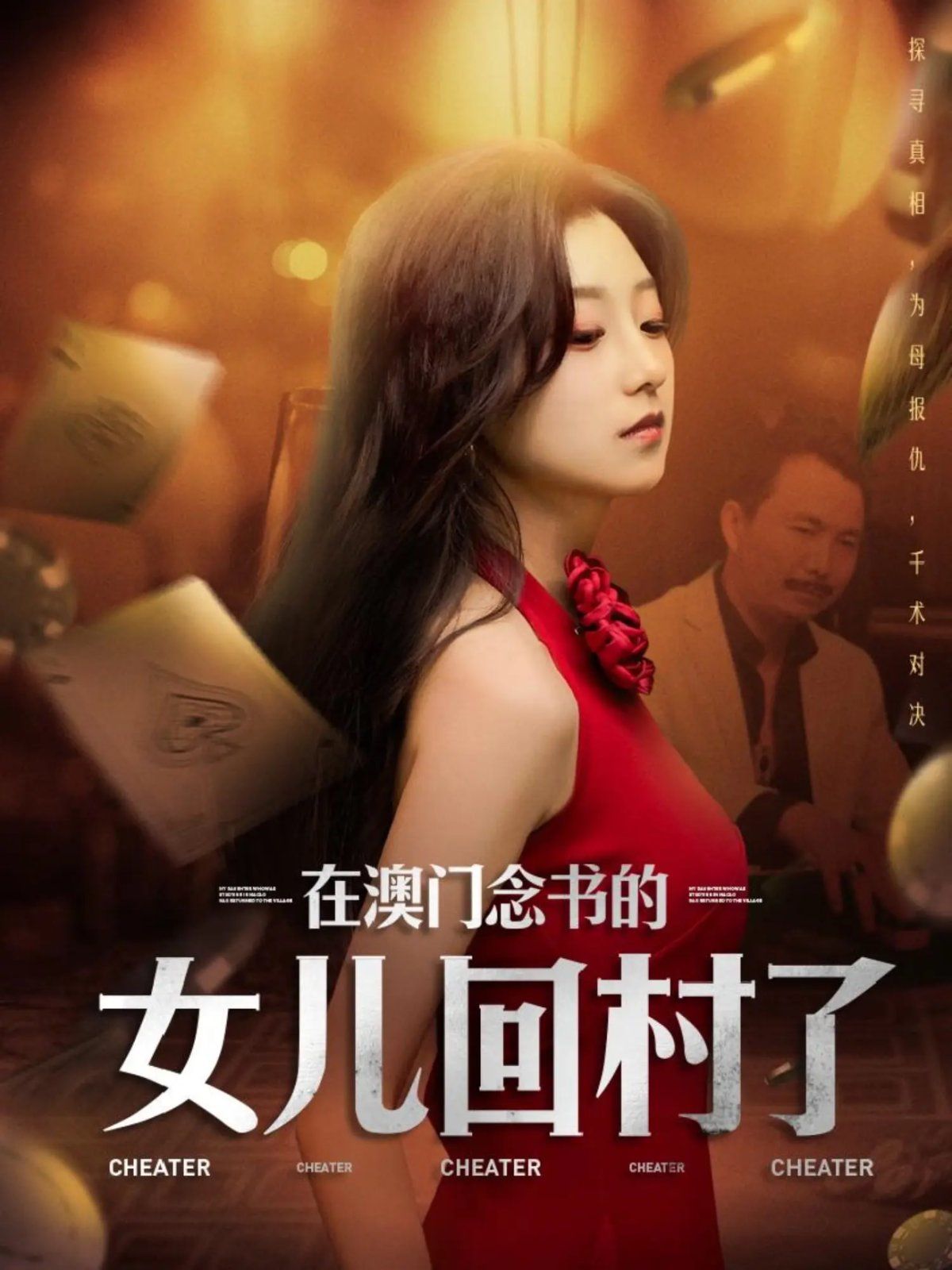 《在澳门念书的女儿回村了》海报