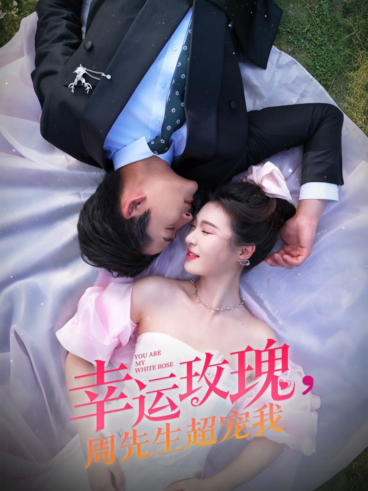《幸运玫瑰周先生超宠我》海报