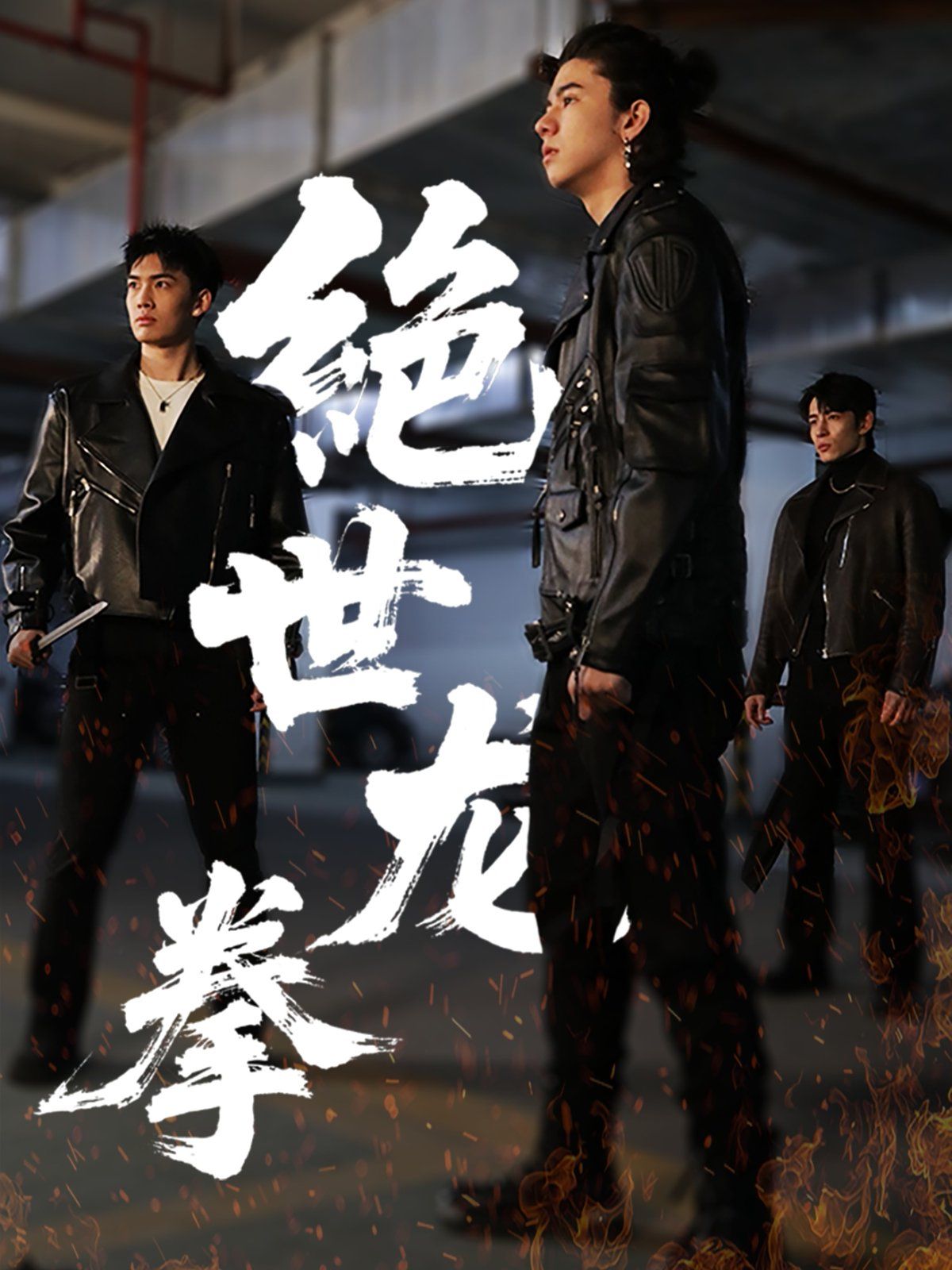 《绝世龙拳》海报