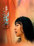 《追幸福的人》海报