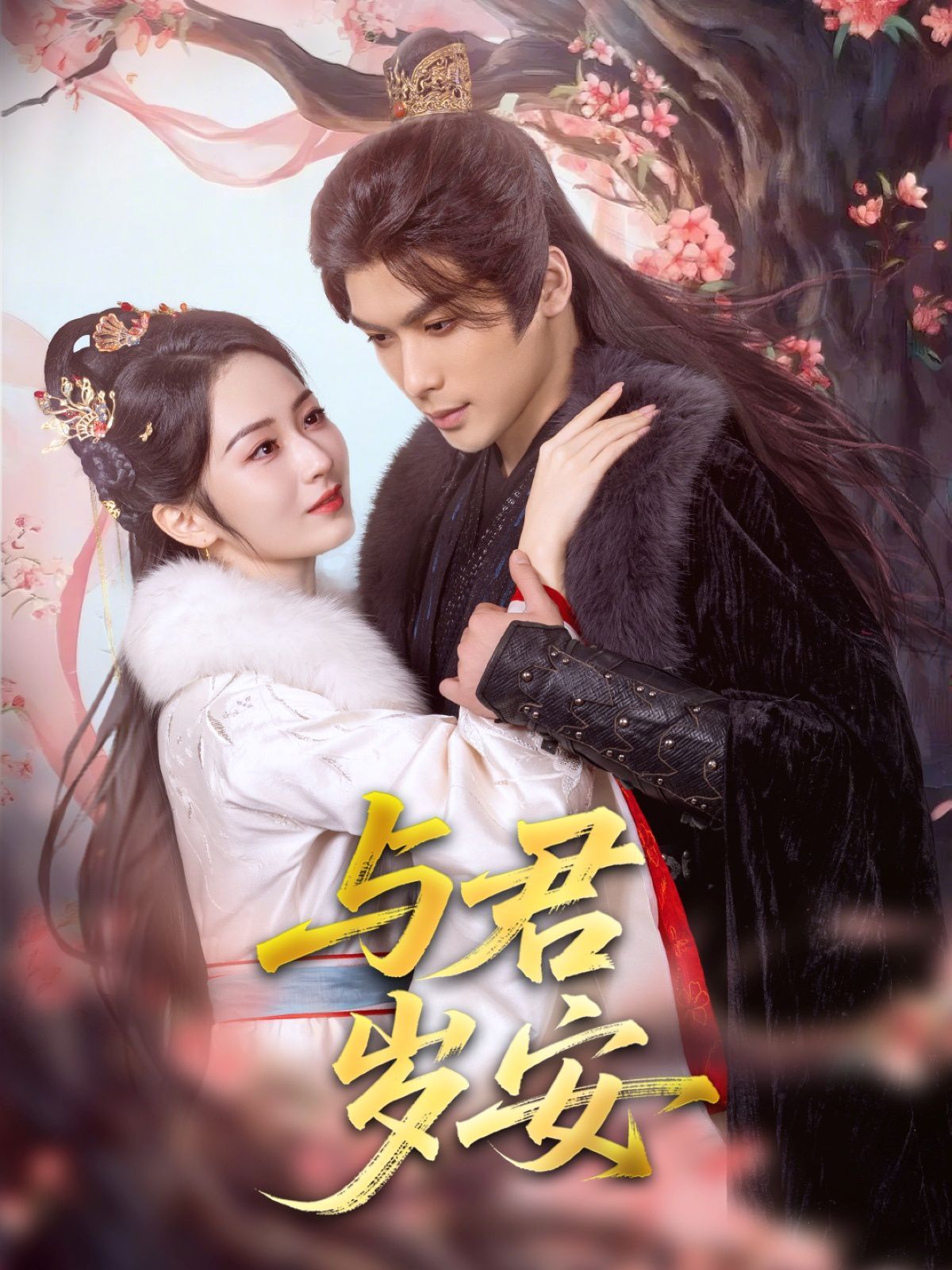 《与君岁安》海报