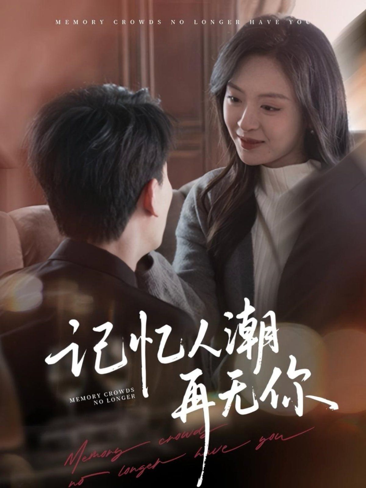 《记忆人潮再无你》海报