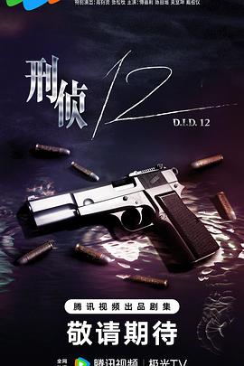 《刑侦12》海报