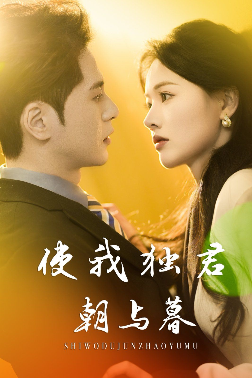《使我独君朝与暮》海报