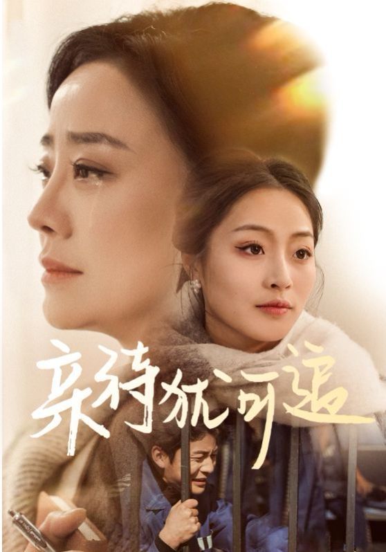 《亲待犹可追》海报
