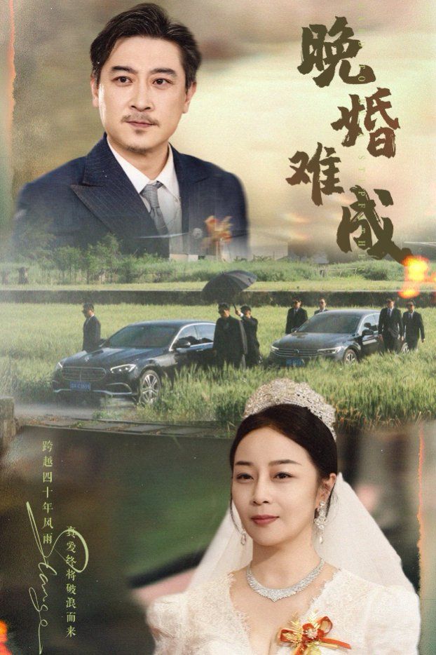 《晚婚难成》海报