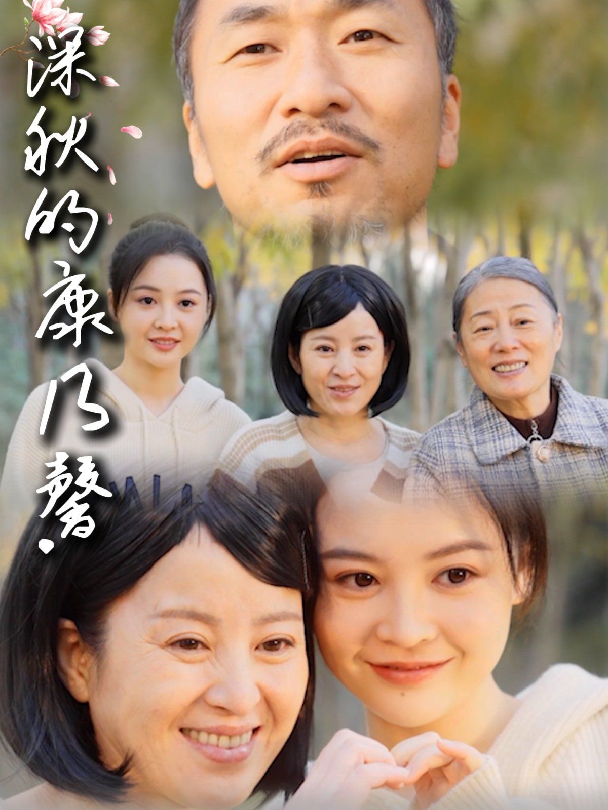 《深秋的康乃馨》海报