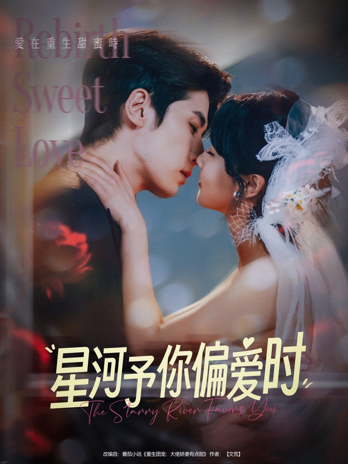 《星河予你偏爱时》海报