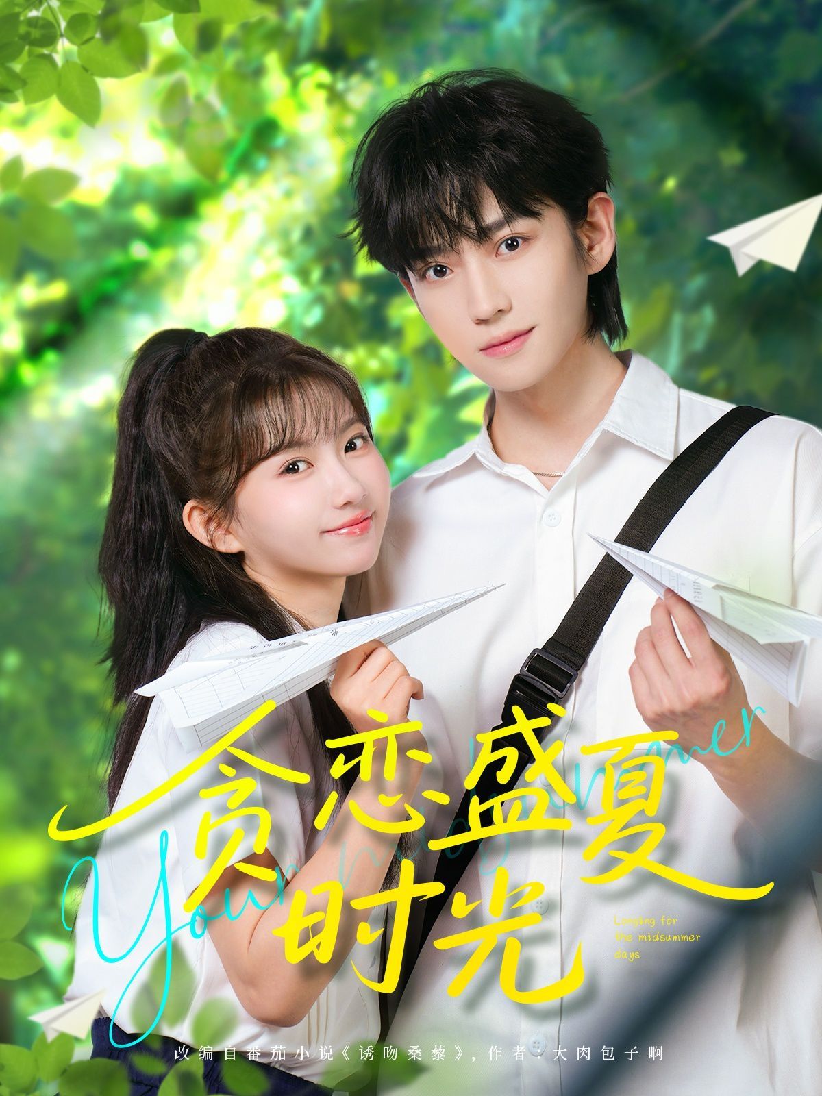 《贪恋盛夏时光》海报