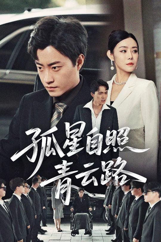 《孤星自照青云路》海报