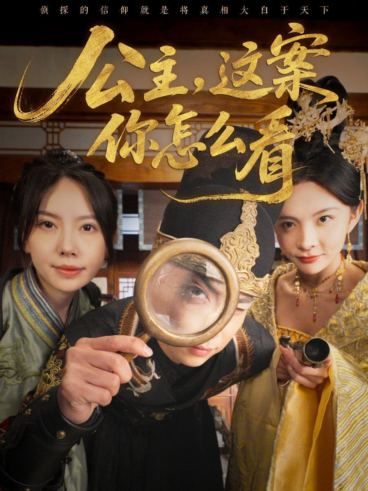 《公主，这案你怎么看》海报