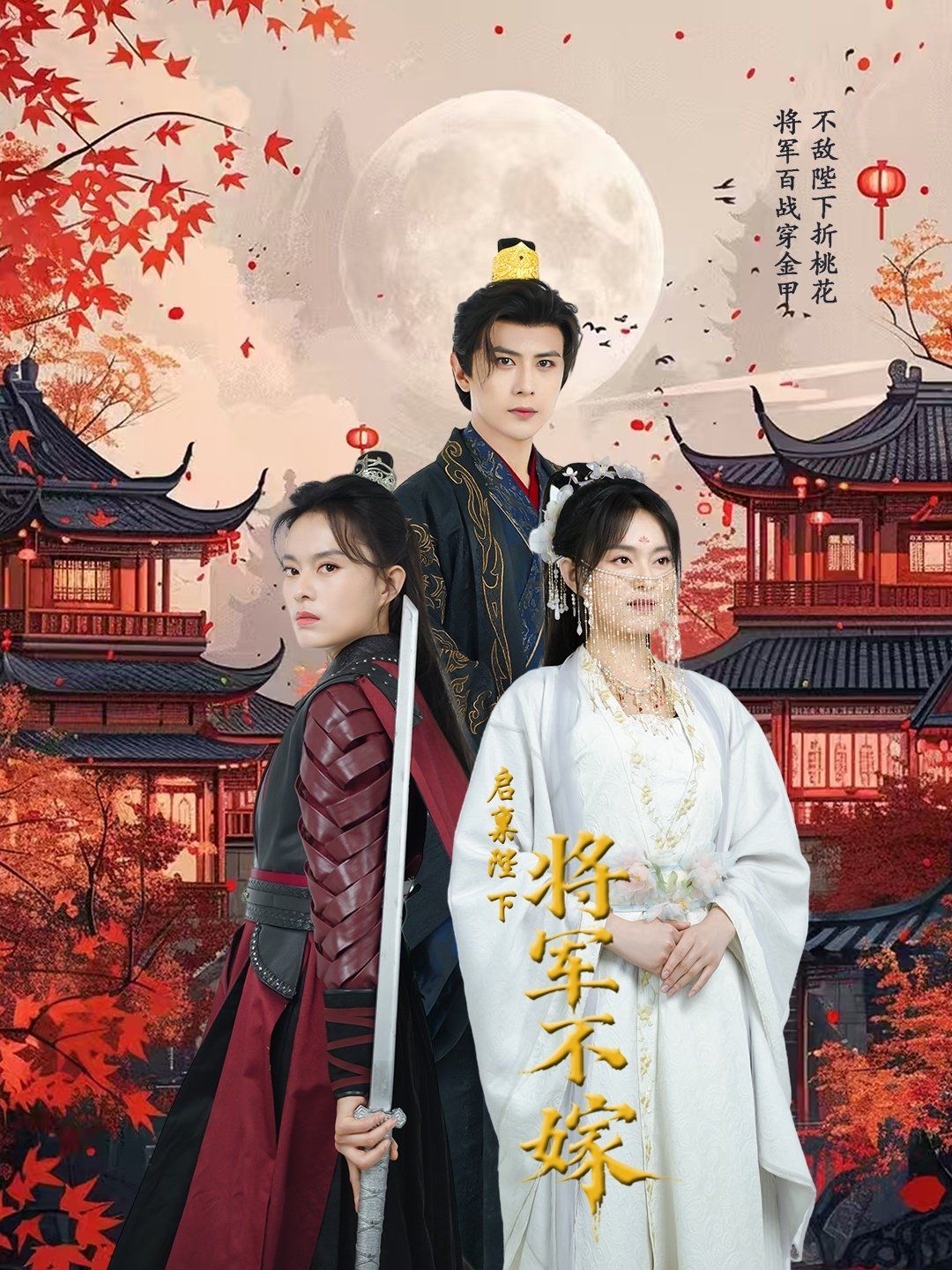 《启禀陛下将军不嫁》海报