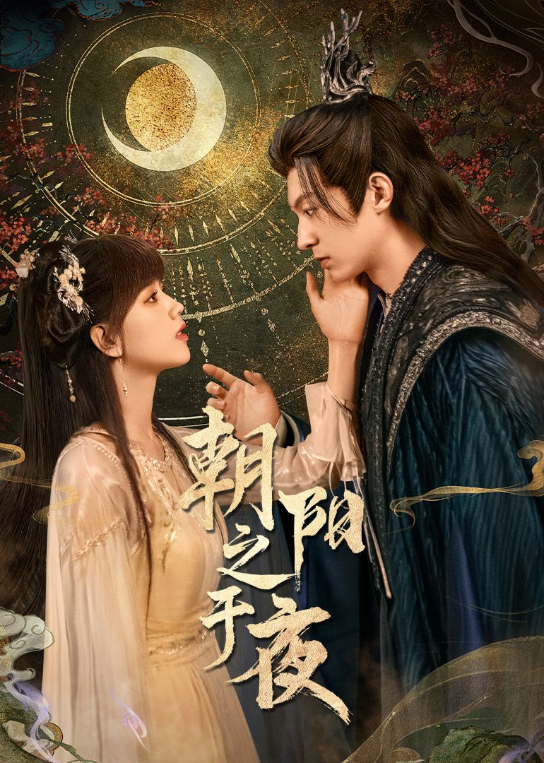 《朝阳之于夜》海报