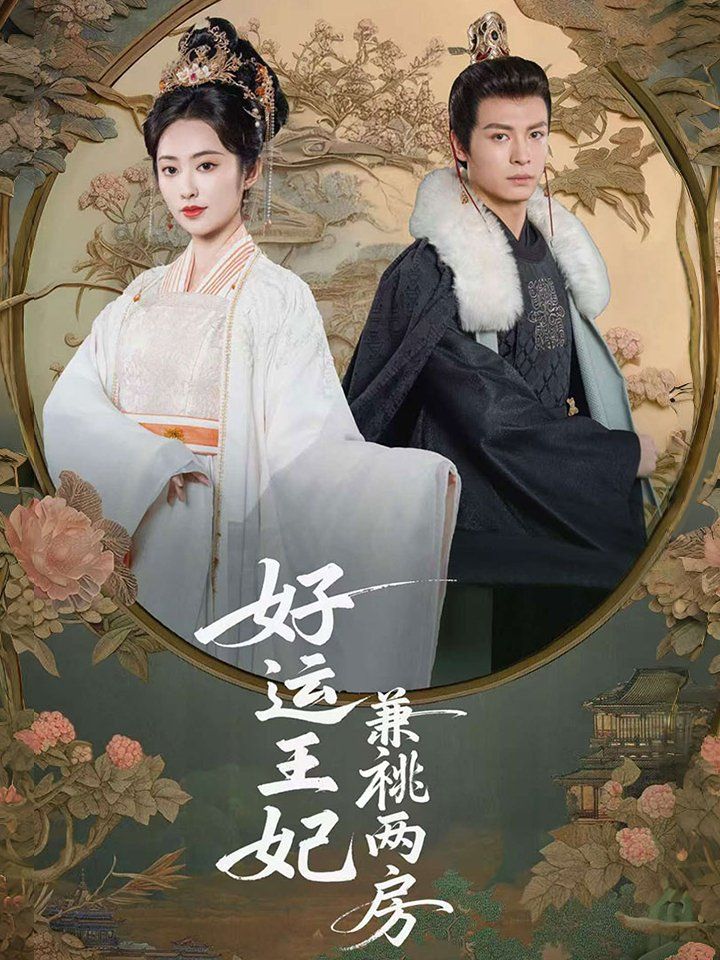 《好运王妃兼祧两房》海报