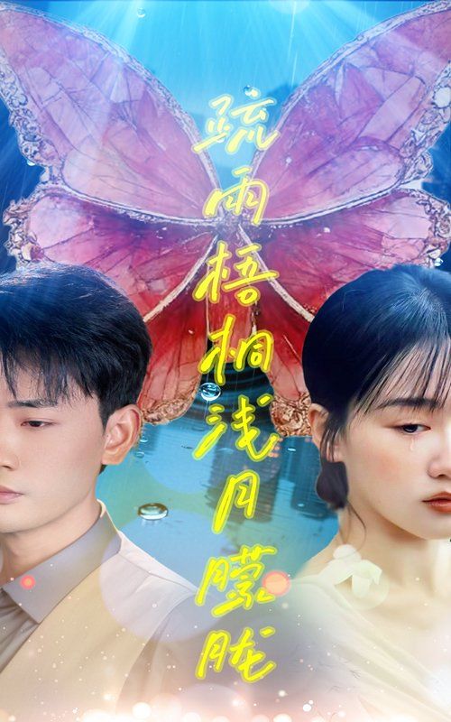 《疏雨梧桐浅月朦胧》海报