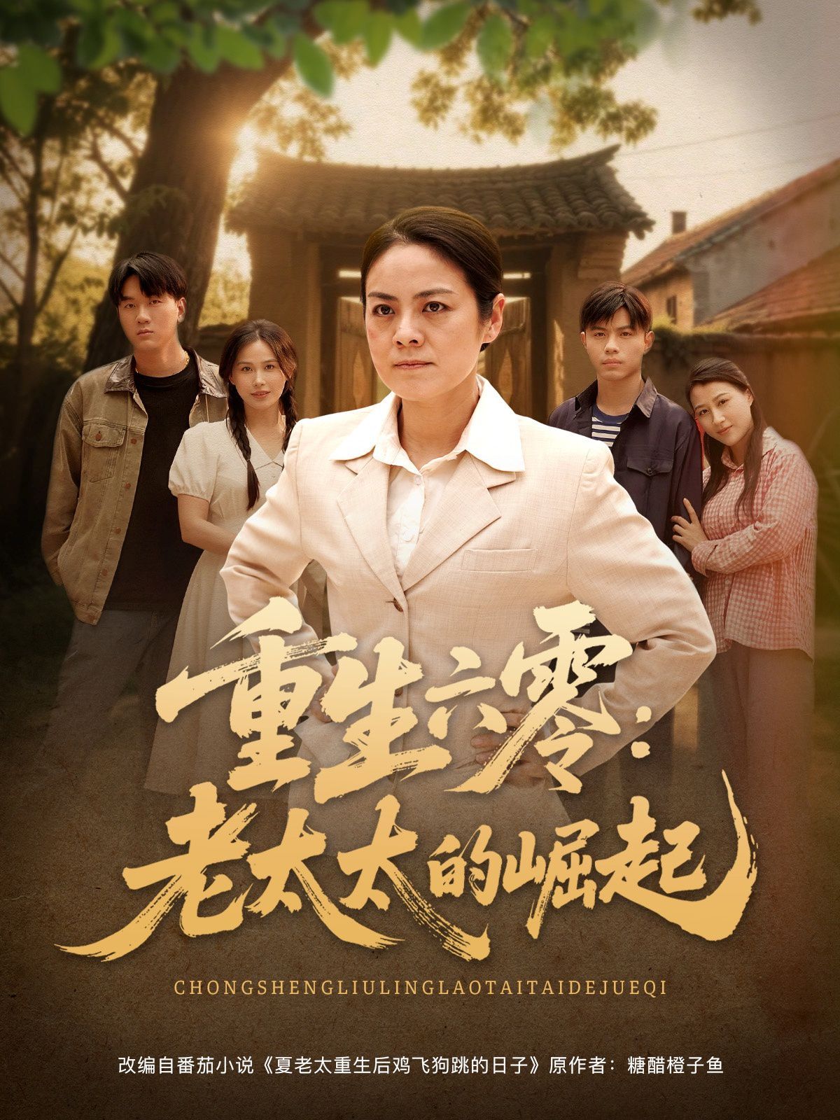 《重生六零：老太太的崛起》海报