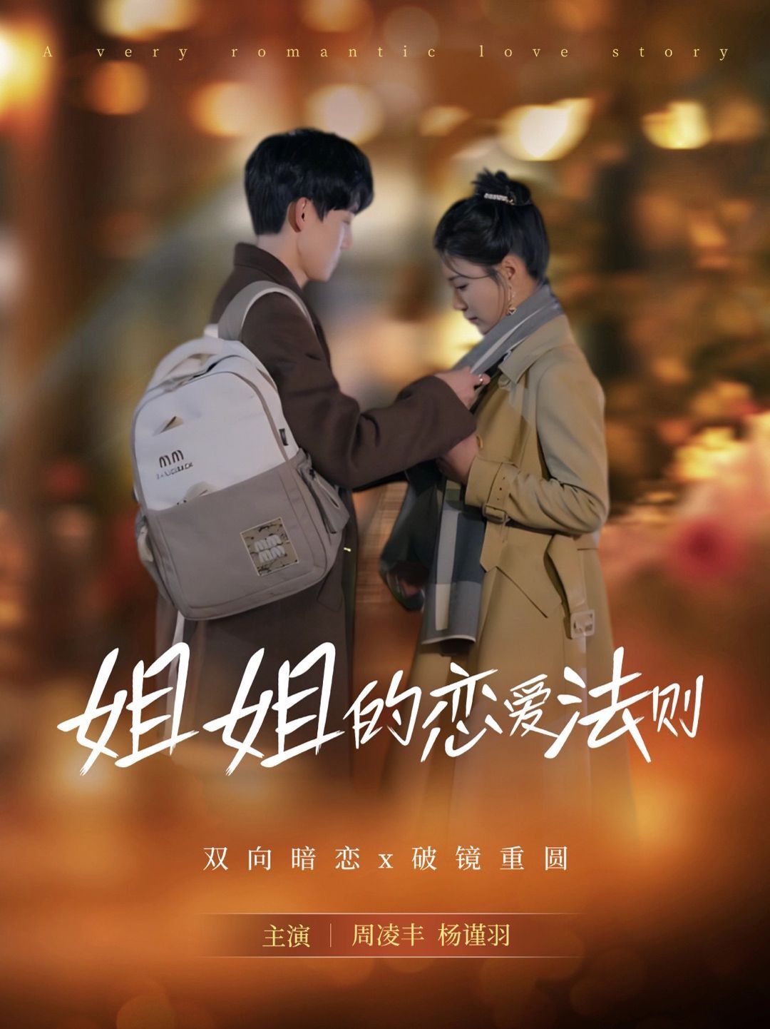 《姐姐的恋爱法则》海报