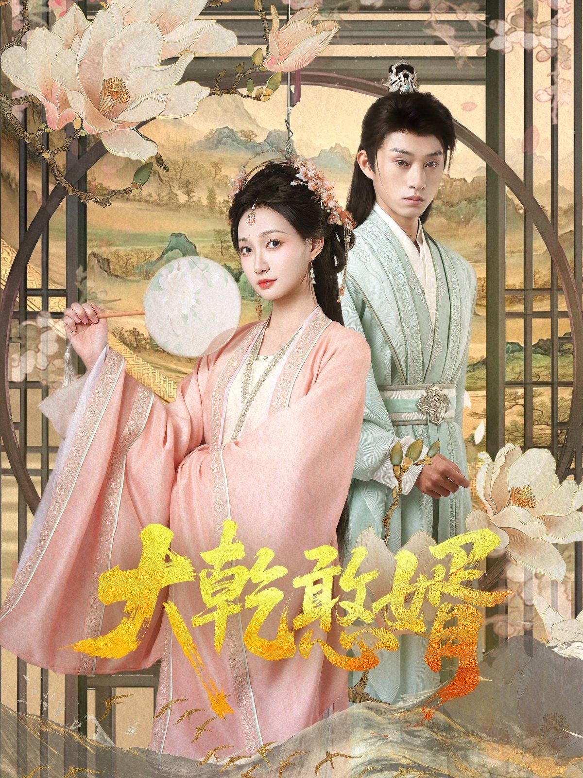 《大乾憨婿》海报