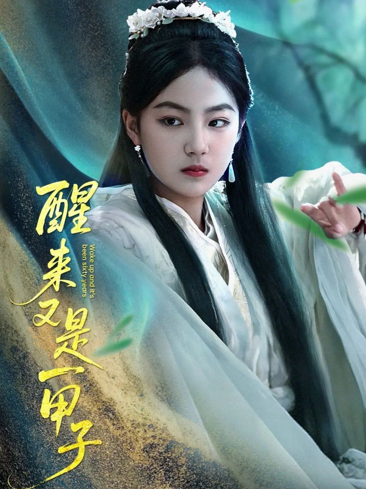《醒来又是一甲子》海报