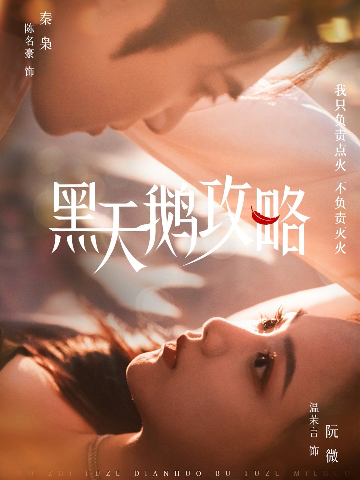 《黑天鹅攻略》海报