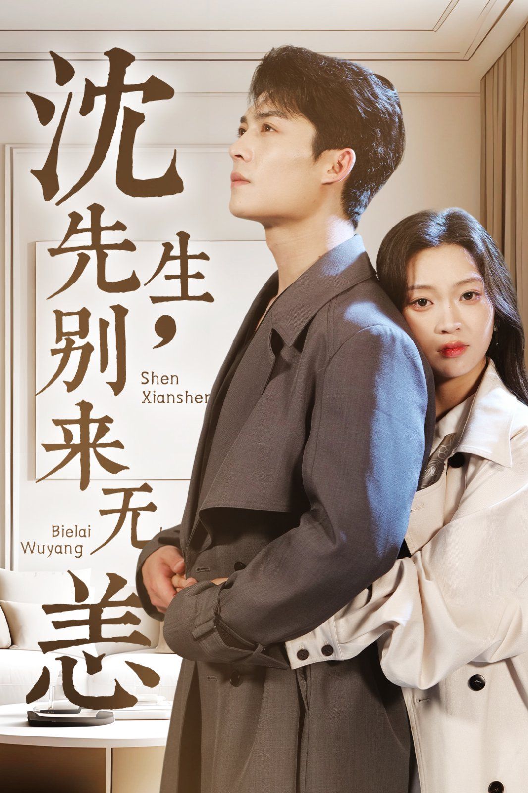 《沈先生别来无恙》海报