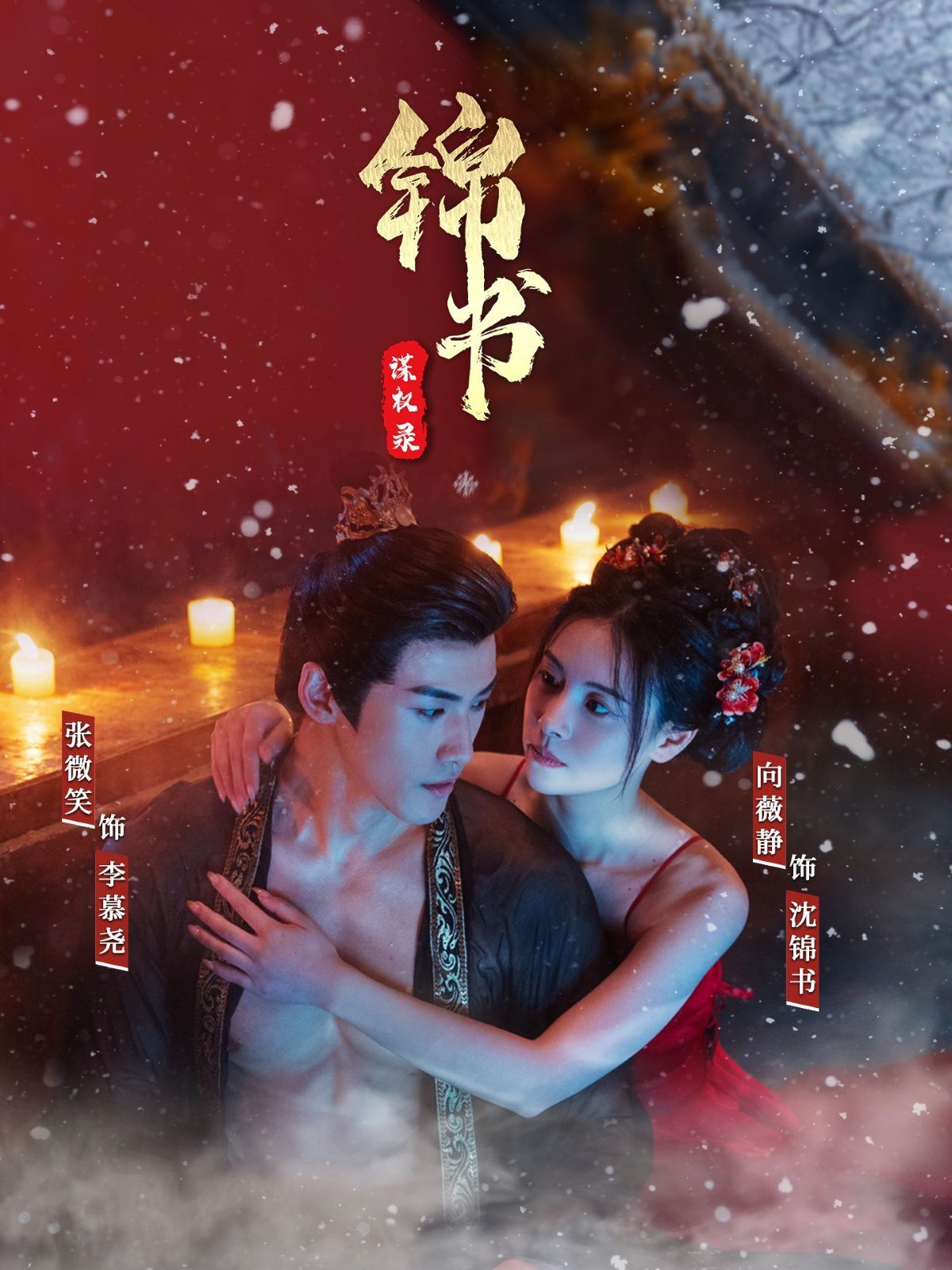 《锦书谋权录》海报