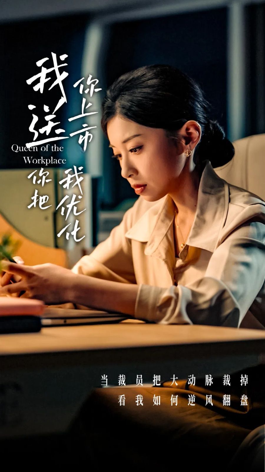 《我送你上市你把我优化》海报