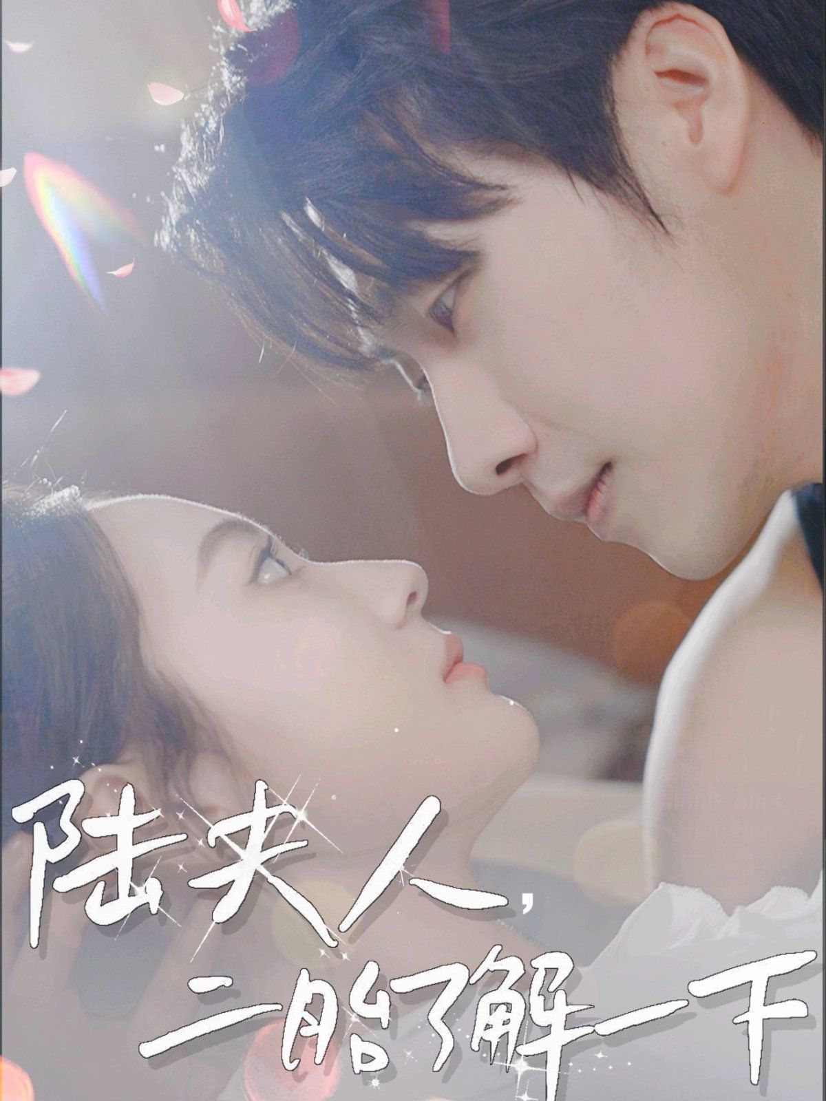 《陆夫人，二胎了解一下》海报