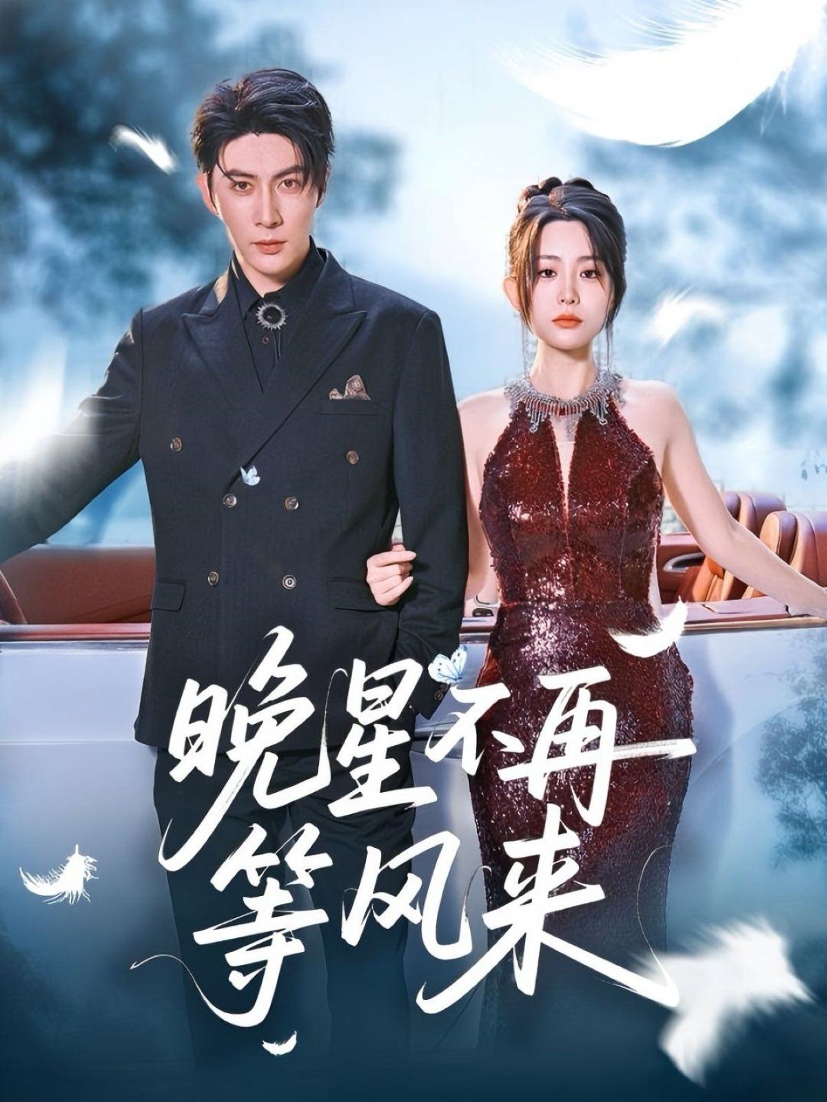 《晚星不再等风来》海报