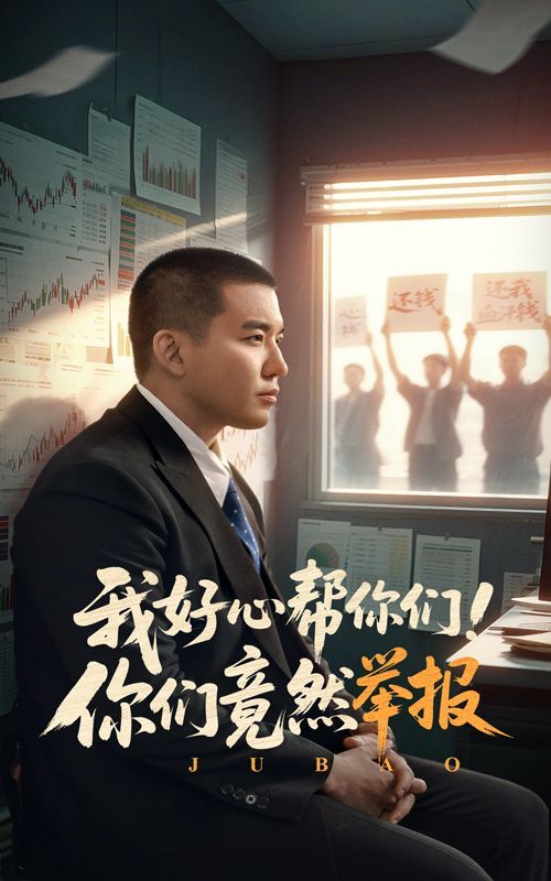 《我好心帮你们你们竟然举报》海报