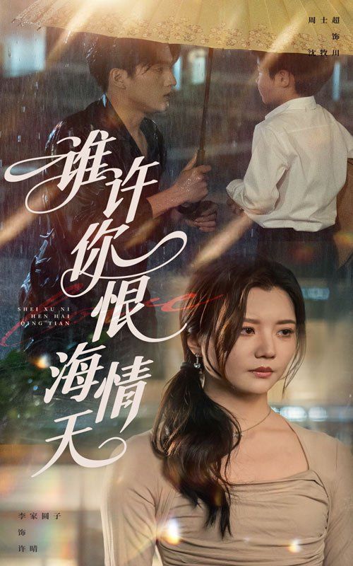《谁许你恨海情天》海报