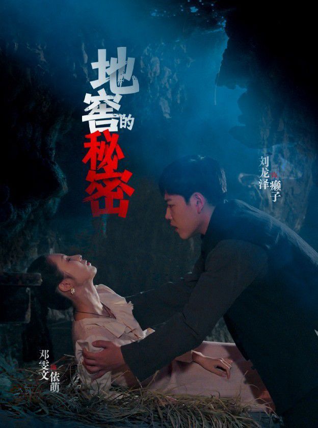 《地窖的秘密》海报