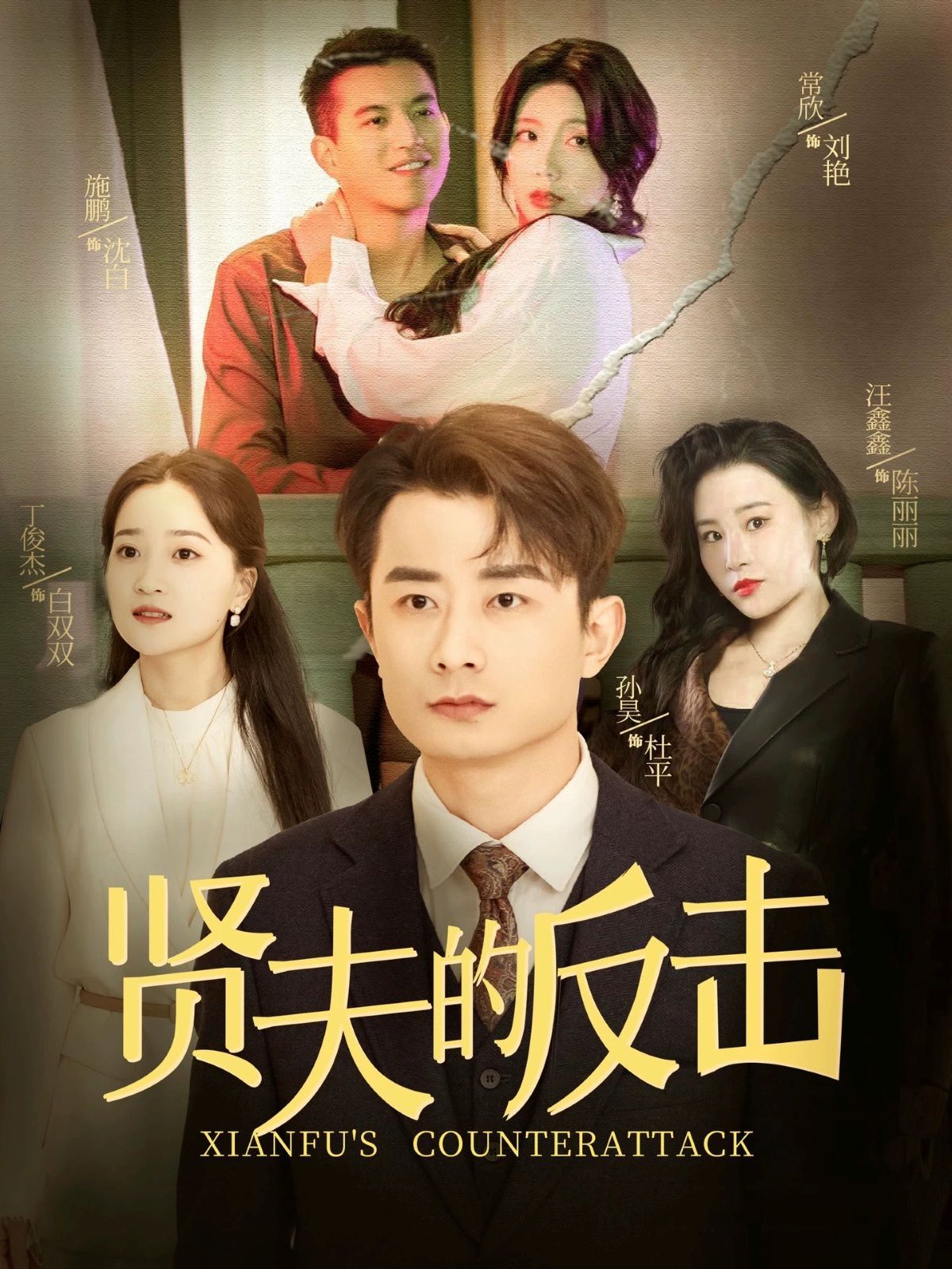 《贤夫的反击》海报