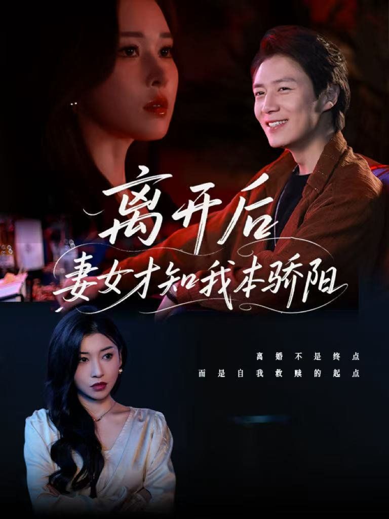 《离开后妻女才知我本骄阳》海报