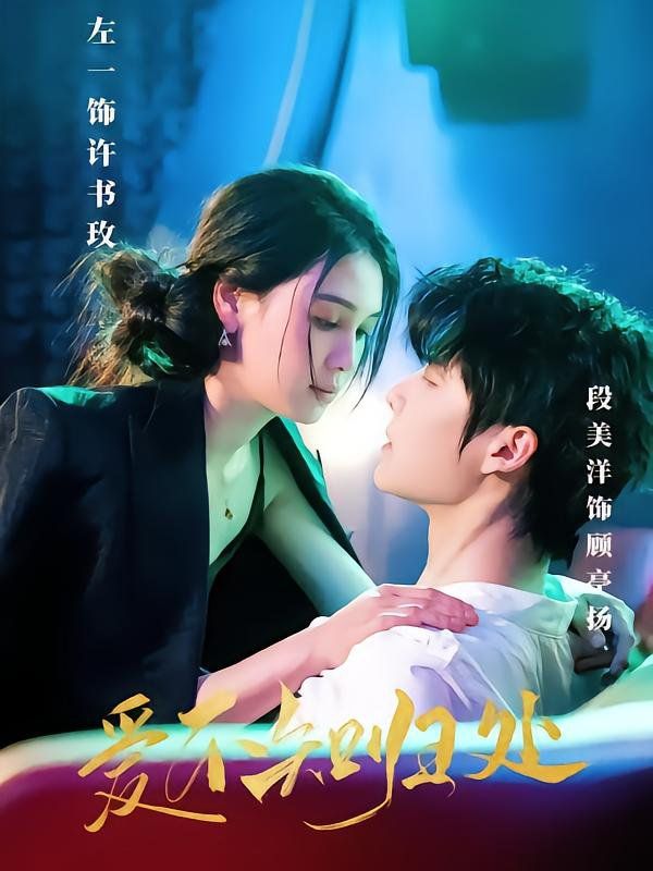 《爱不知归处》海报