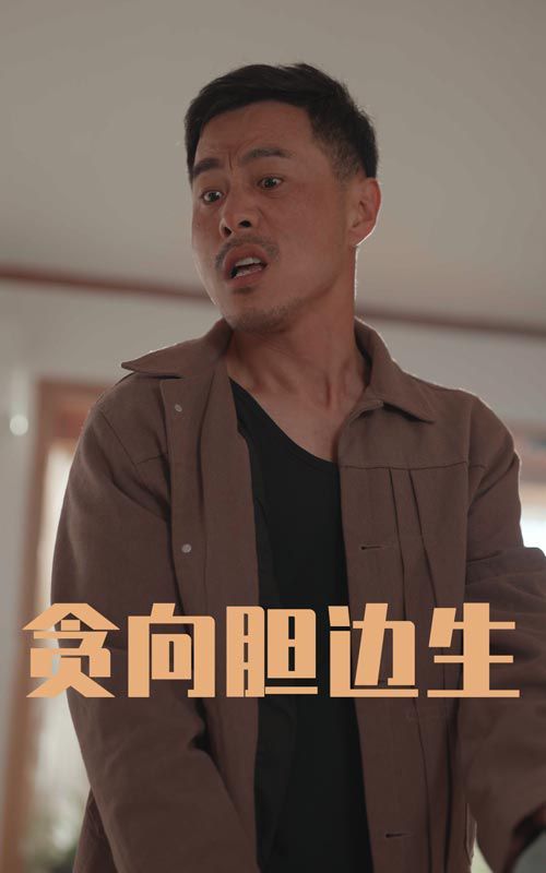 《贪向胆边生》海报